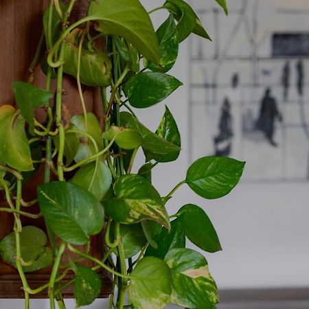 Casa D'Artista - Charming Apartment + Parking Torino Exterior foto