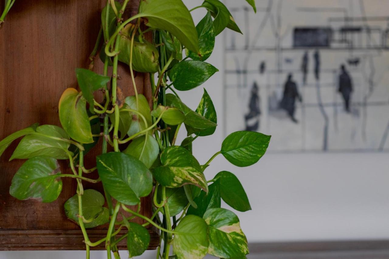 Casa D'Artista - Charming Apartment + Parking Torino Exterior foto